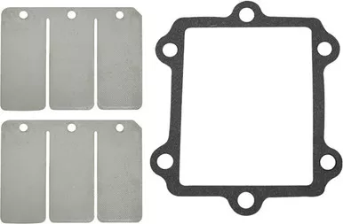Spi Reed Valve Repair Kit Arctic S /M - SM-07153C