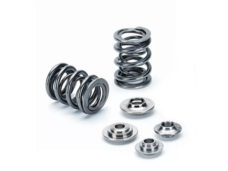SPT Dual Valve Spring Kits