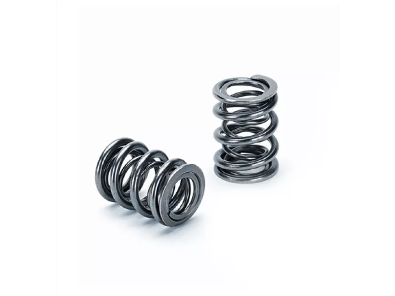 SPT Dual Valve Springs