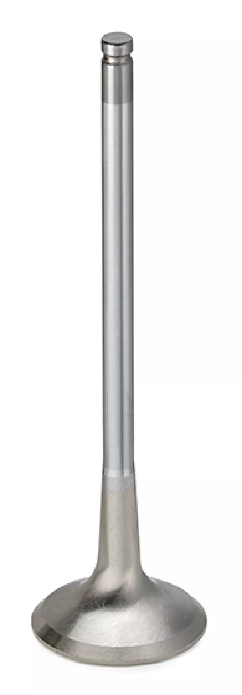 SPT Exhaust Valves