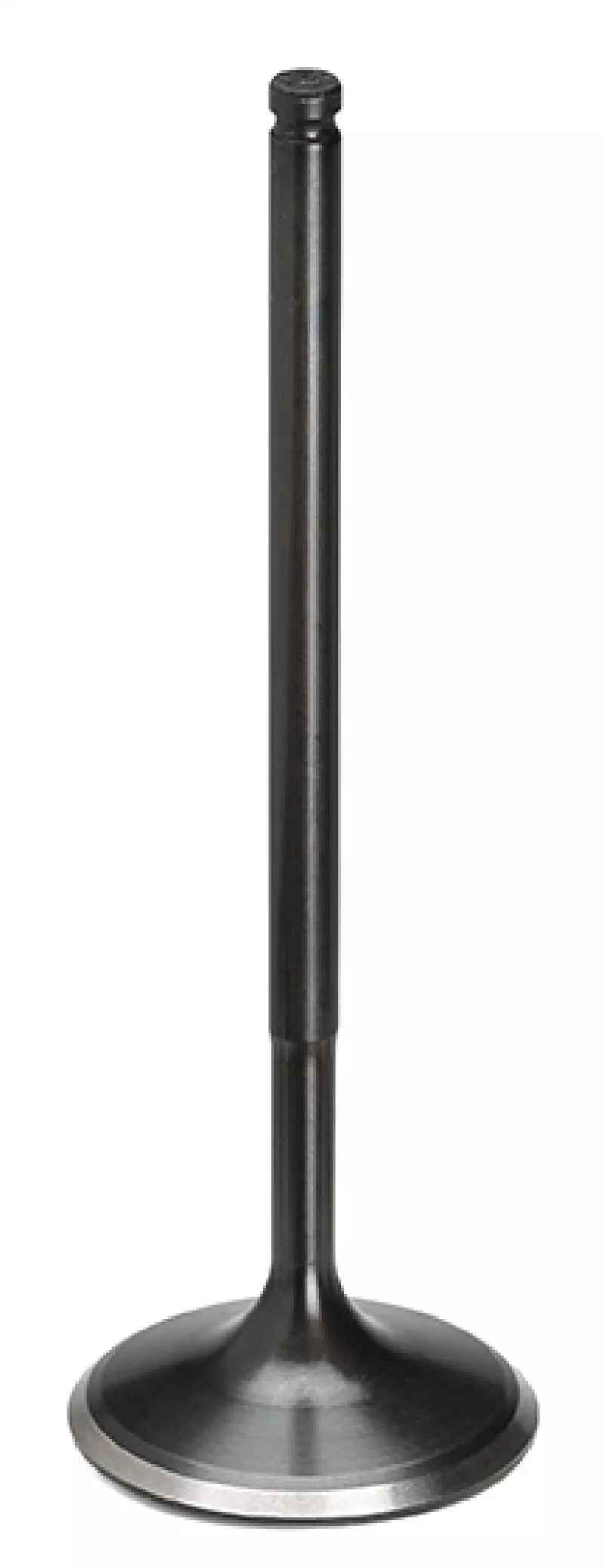 SPT Intake Valves