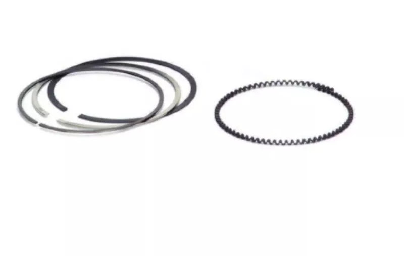 SPT Piston Rings