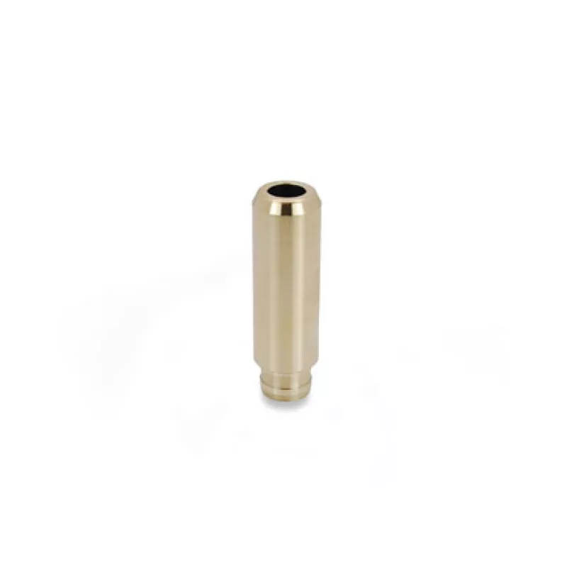 SPT Valve Guides