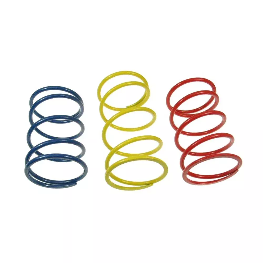 SSP-G 139QMB Performance Clutch Torque Springs