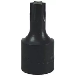 T50 TORX BIT