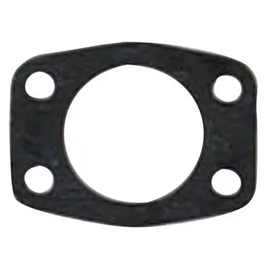 Winderosa Exhaust Gasket - 718176