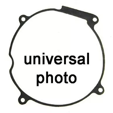 Winderosa Ignition Cover Gasket - 816058