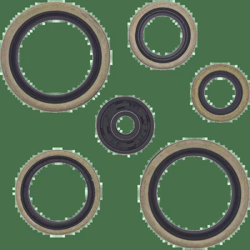 Winderosa Oil Seal Kit (822187)