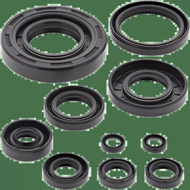 Winderosa Oil Seal Kit (822304)